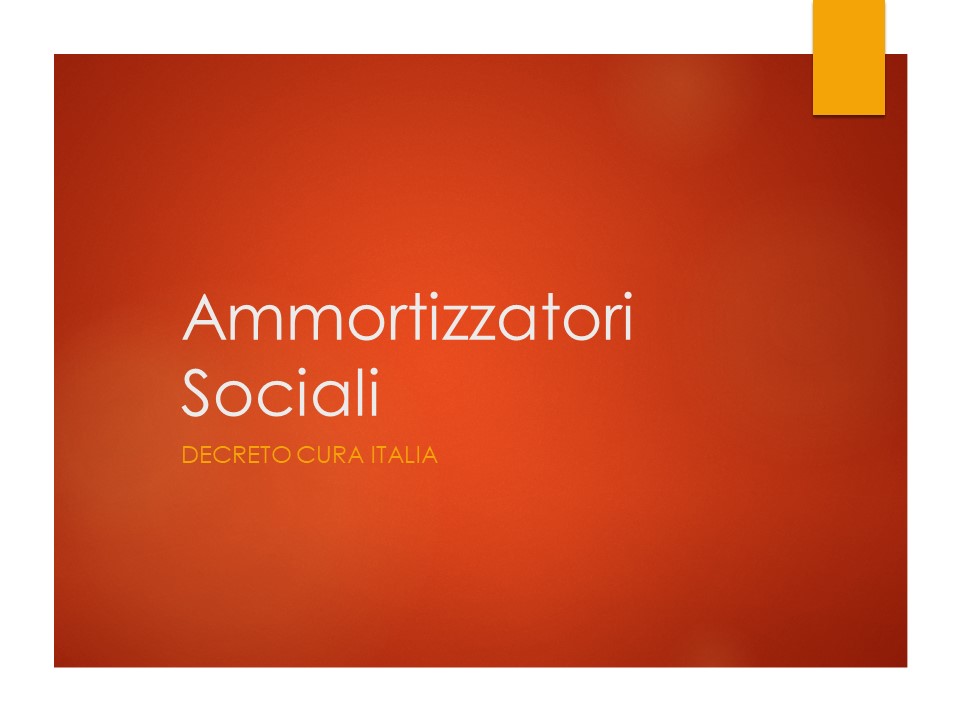 Ammortizzatori Sociali